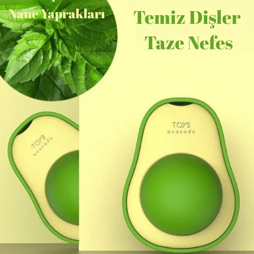 Vetrikado Catnip Kedi Çimi Topu Oyuncağı - Image 3