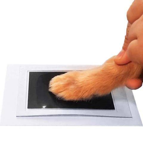 VetriPrintPaw - Kedi Köpek Pati İzi Fotoğraf Çerçevesi Seti - Image 4