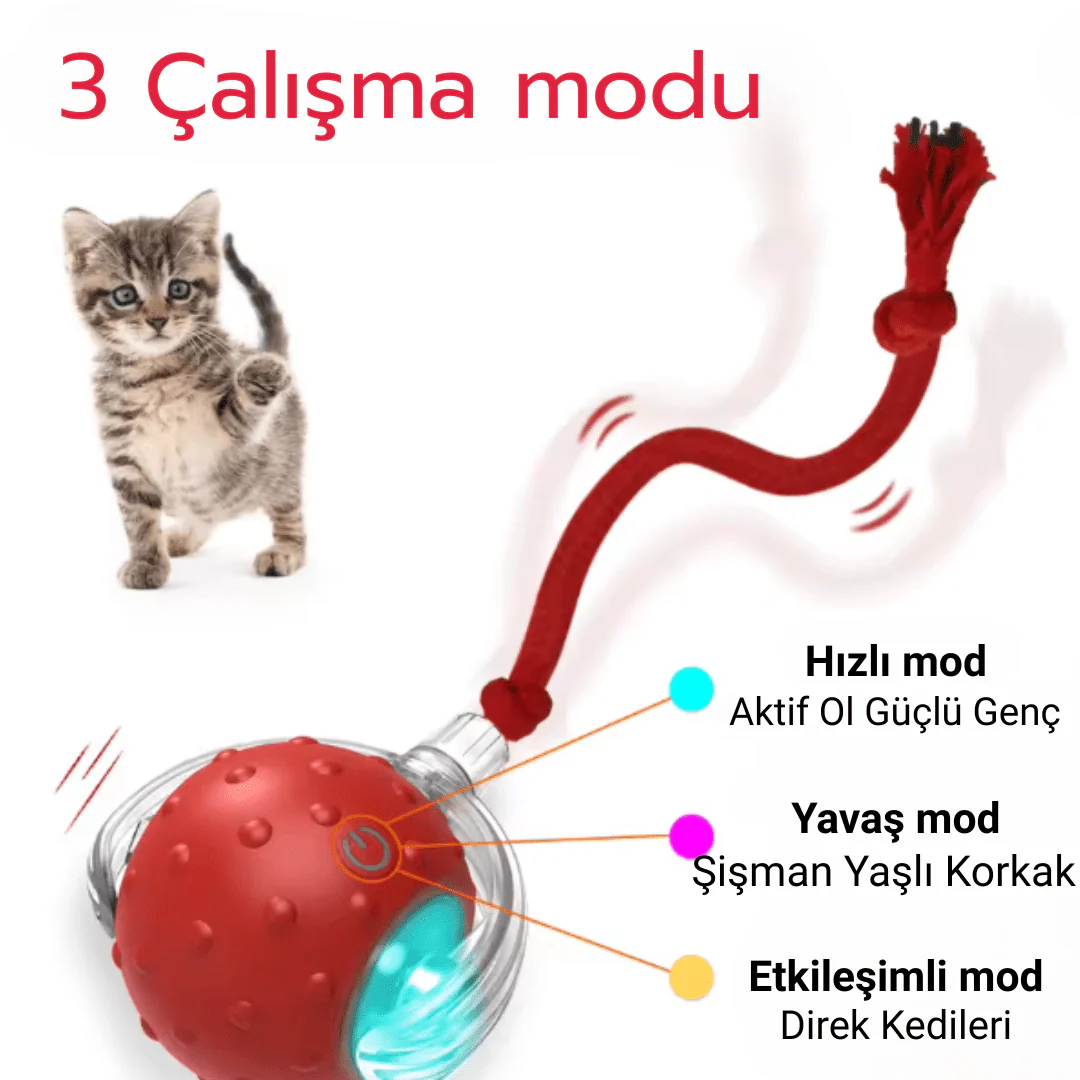Vetriball - Işıklı Otomatik Hareket Eden Top - Image 3