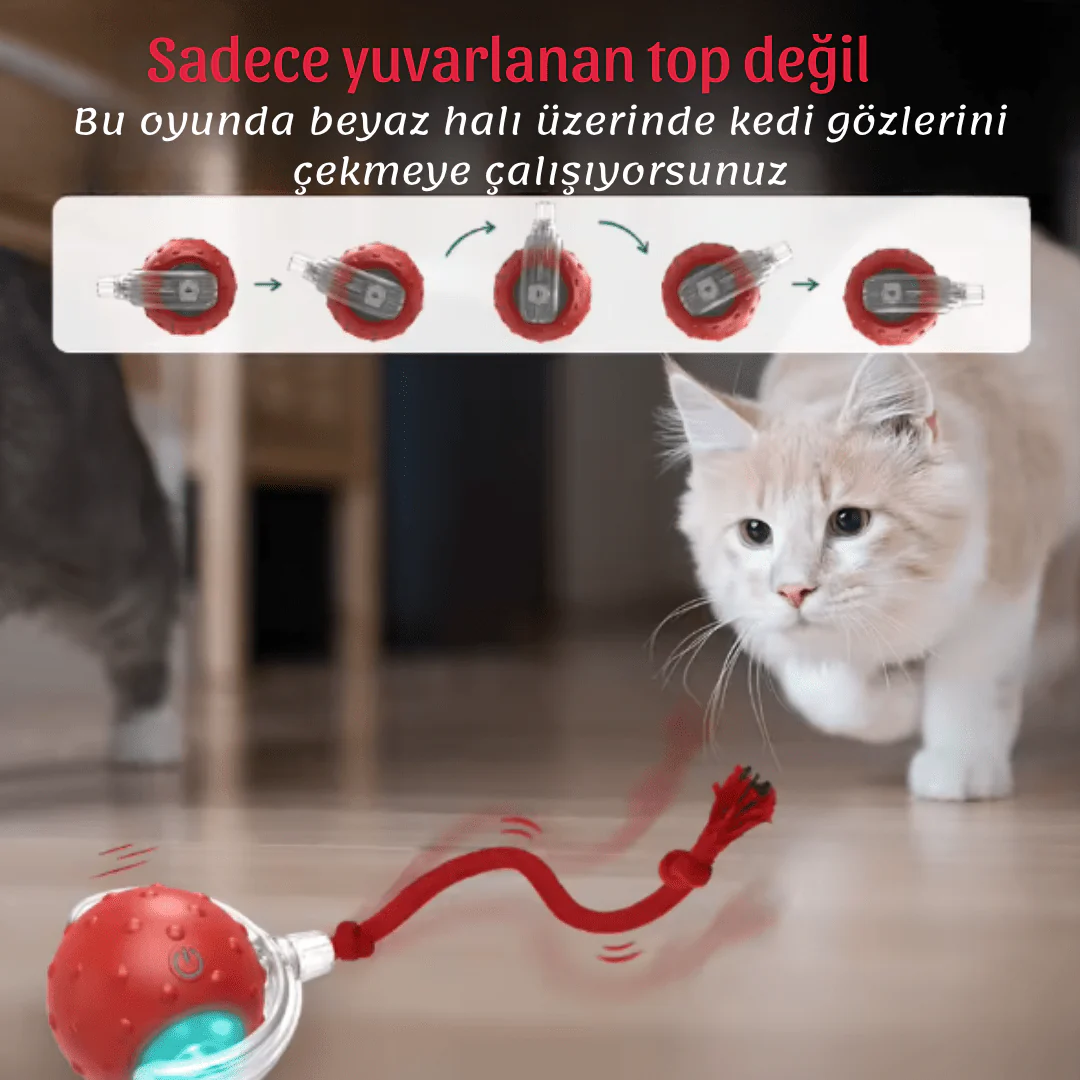 Vetriball - Işıklı Otomatik Hareket Eden Top - Image 6