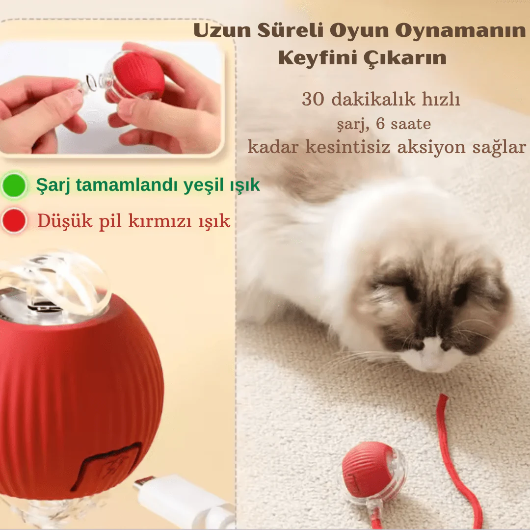 Vetriball - Işıklı Otomatik Hareket Eden Top - Image 7