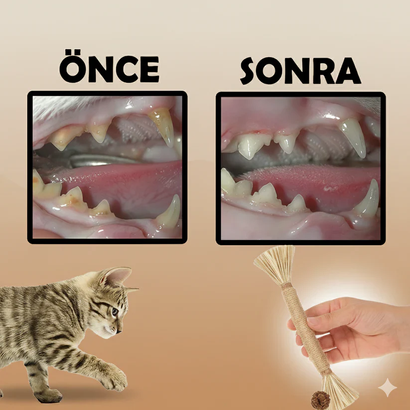 VetriChew - Doğal Çiğneme Çubuğu - Image 5
