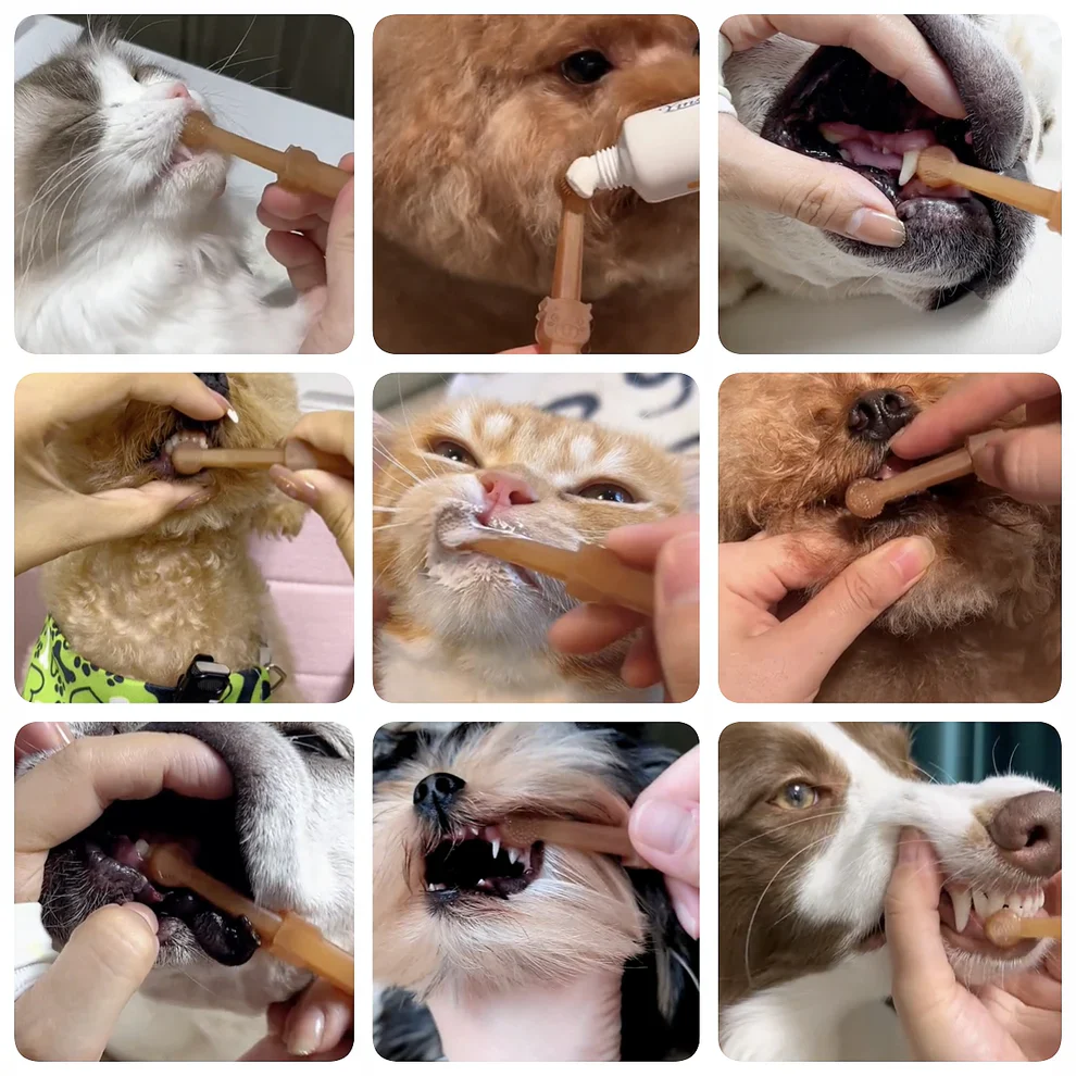 VetriDent Kedi/Köpek Silikon Diş Fırçası - Image 5