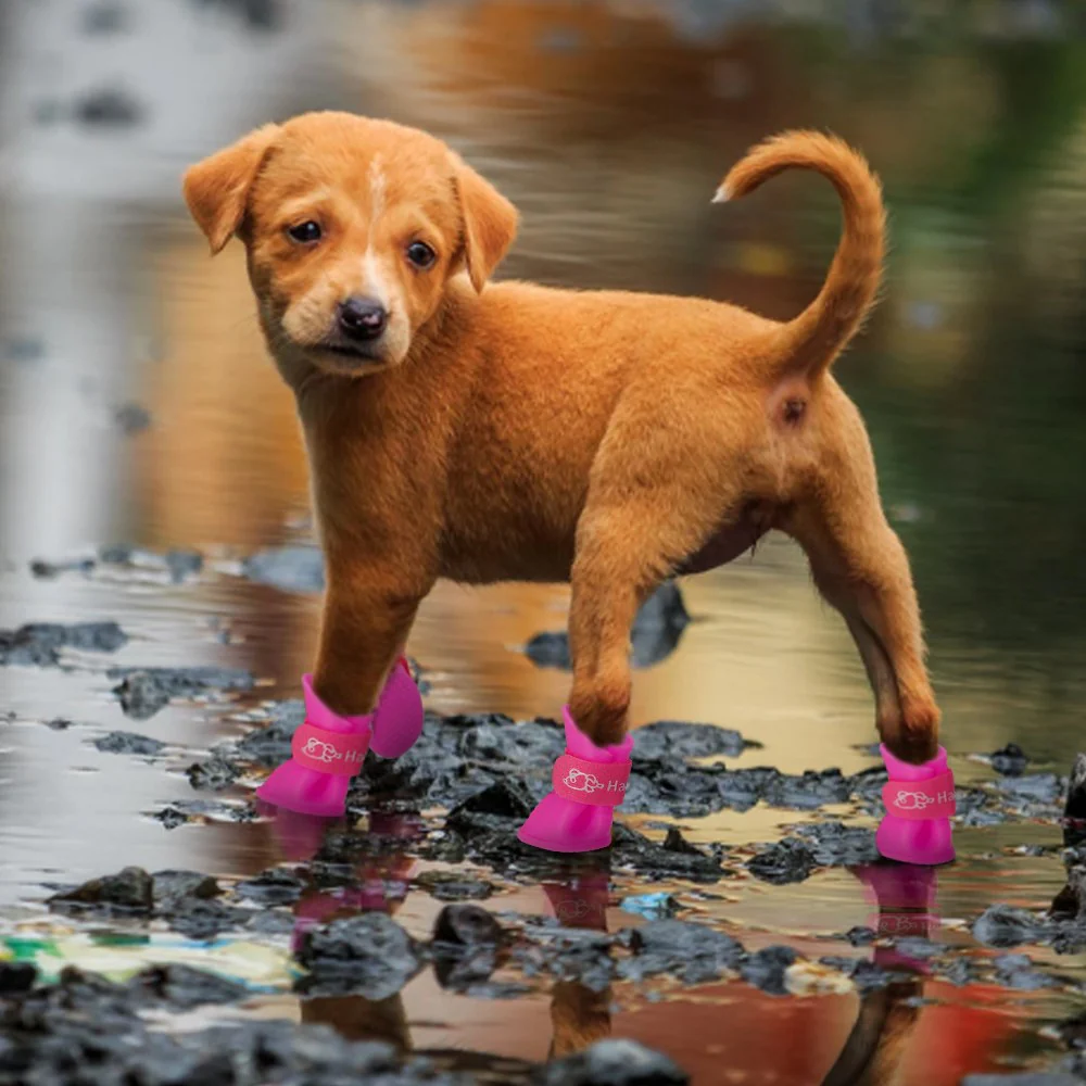VetriPaw Silikon Kedi Köpek Ayakkabısı - Image 3
