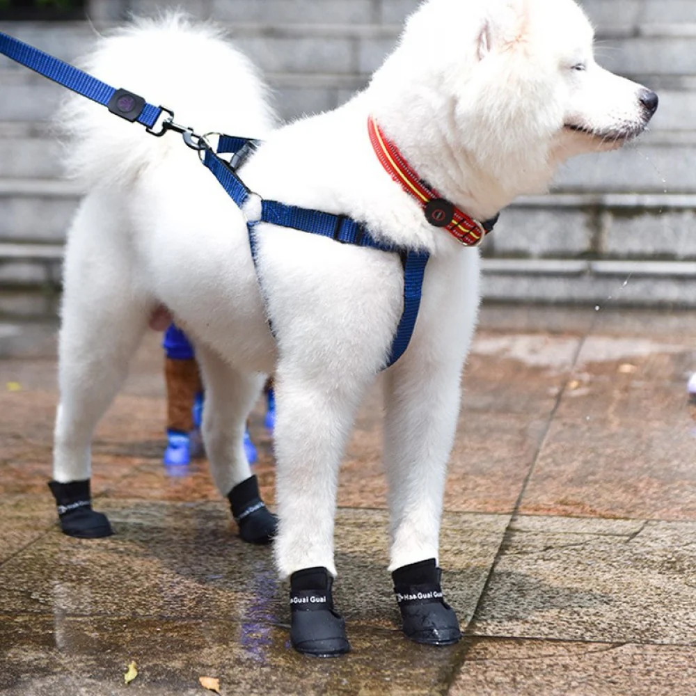 VetriPaw Silikon Kedi Köpek Ayakkabısı - Image 4