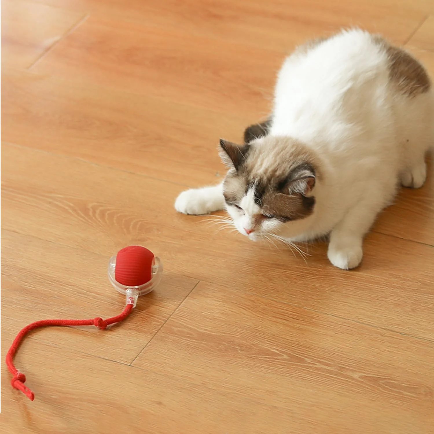 VetriPlay PurrBall – Şarjlı Otomatik Hareketli Kedi Oyuncağı - Image 3