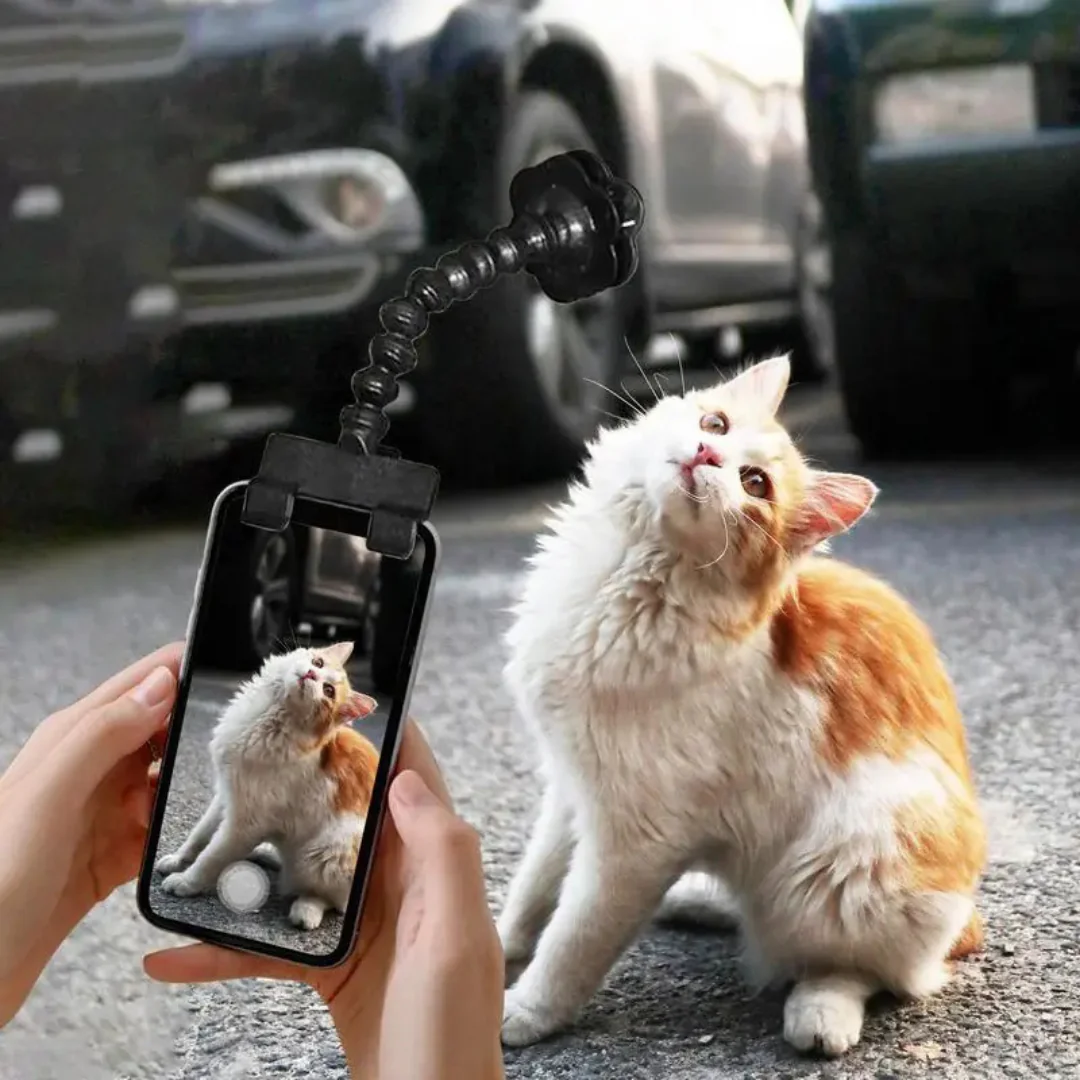 VetriSelfie Ödül Mama Tutacağı Kedi-Köpekler İçin Selfie Çubuğu - Image 3