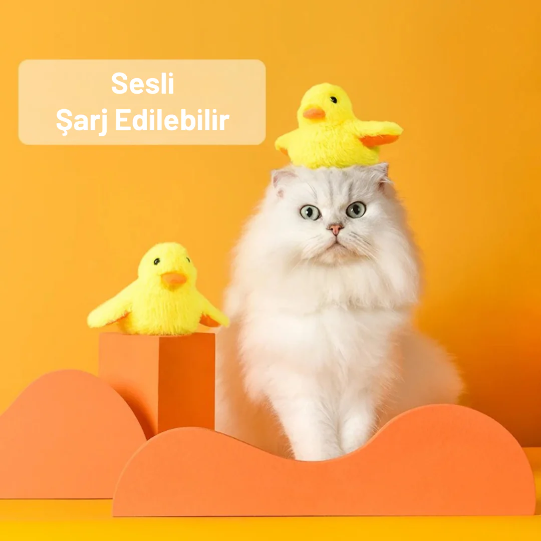 VetriWing Catnip’li İnteraktif Şarjlı Ördek Oyuncağı - Image 6