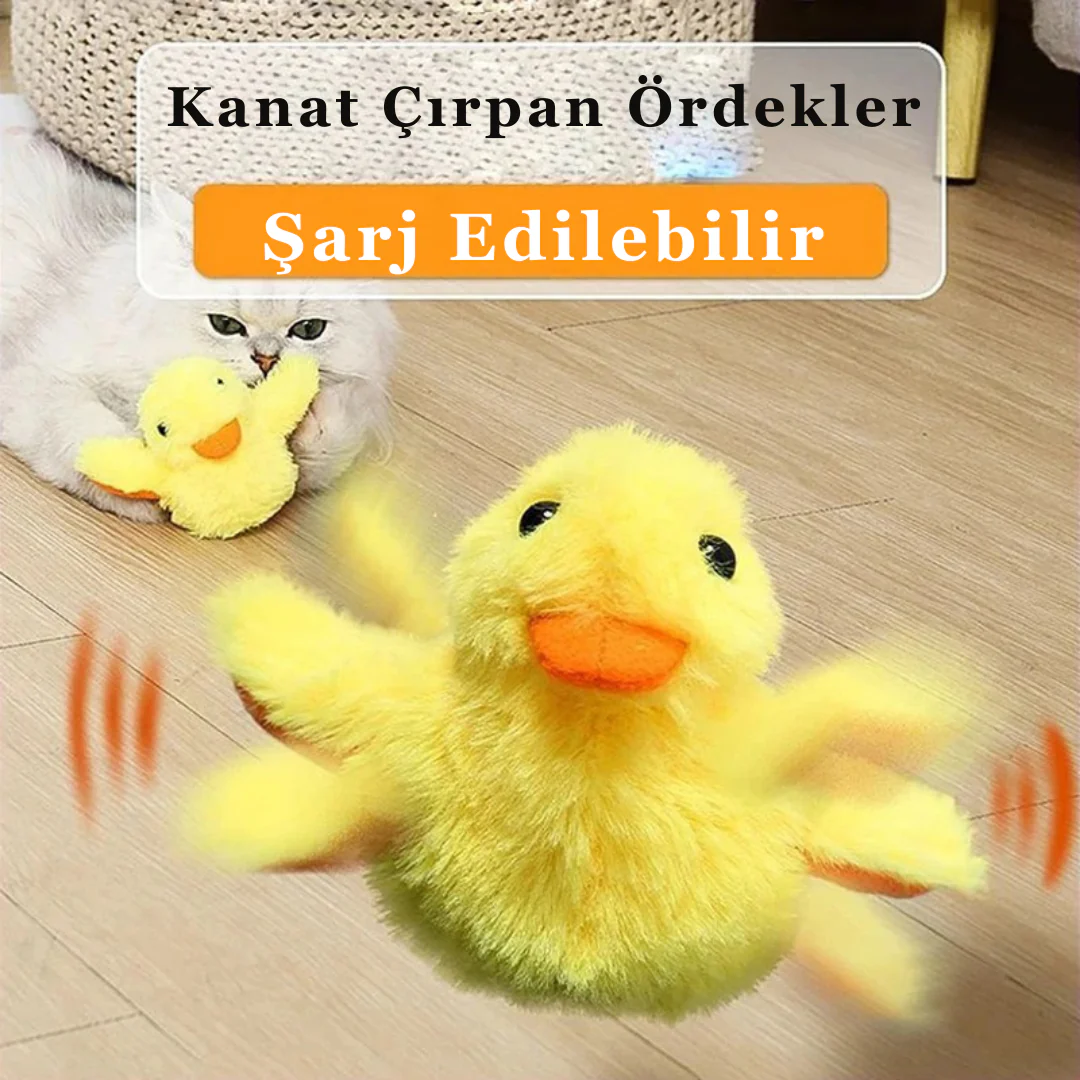 VetriWing Catnip’li İnteraktif Şarjlı Ördek Oyuncağı - Image 7